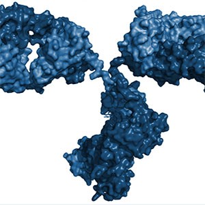 Exemple de traitement biologique, également connu sous le nom de protéine thérapeutique